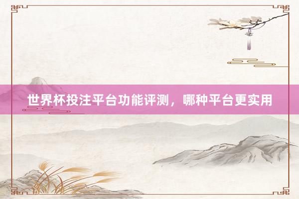 世界杯投注平台功能评测，哪种平台更实用
